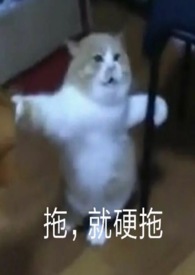 魅魔 短文