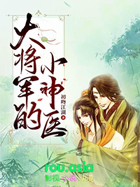 大将军的意思